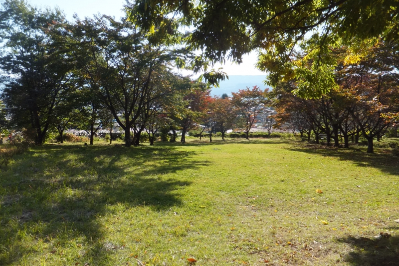 Nashikubo site